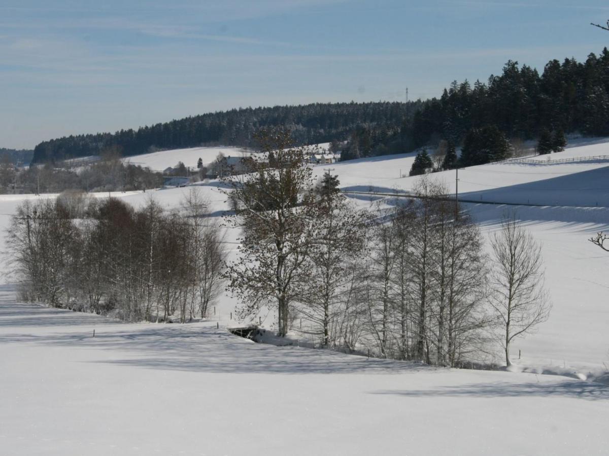 Converted Old Mill In St Georgen Inblack Forest St. Georgen im Schwarzwald Exterior foto