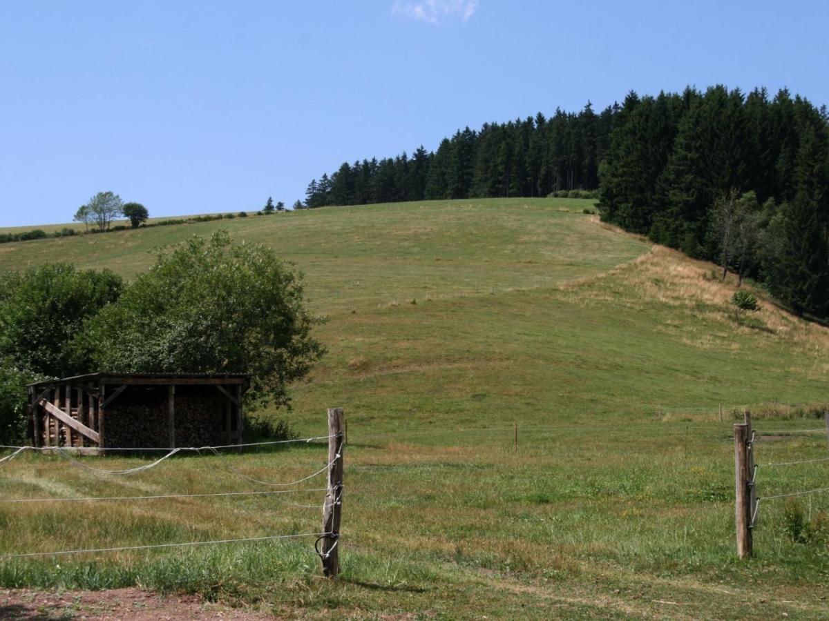 Converted Old Mill In St Georgen Inblack Forest St. Georgen im Schwarzwald Exterior foto